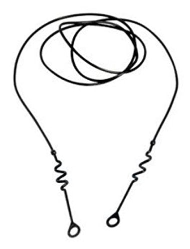 LM-IMAGE-66320345-