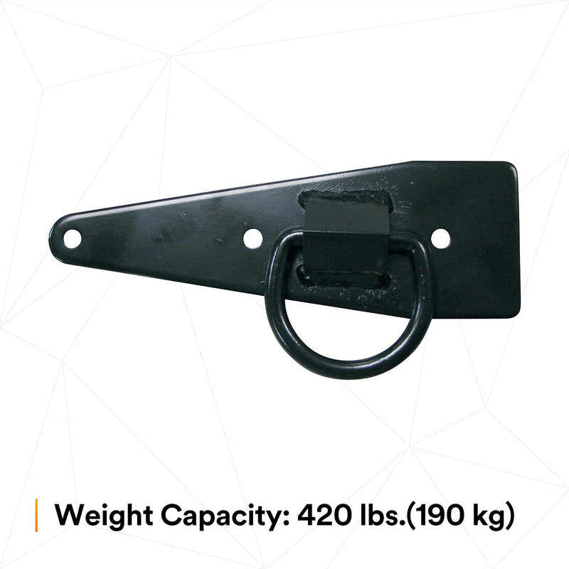 3M DBI-SALA 2103677 Anchor for Roof, Reusable, Compact Anchor for Flat Or Sloped Wood Roofs with D-Ring, Black