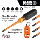 Klein Tools 6836INS Insulated Screwdriver, Tip-Ident, Cushion-Grip Handle