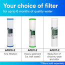 Aqua-Pure AP802 Water Filter System, Whole House, 45 gpm