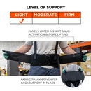 Ergodyne ProFlex 1650 Economy Elastic Back Support Belt
